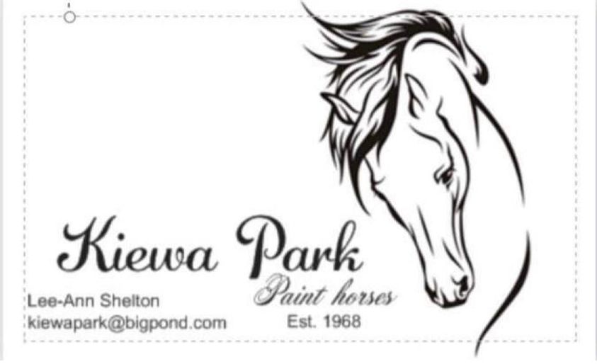 Paint Horse Association of Australia Home